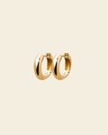 Timeless Chunky Hoops
