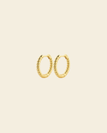 Timeless Spin Hoops