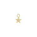 Signature Petite Star Pendant Crystal - Charlotte Bonde Sthlm